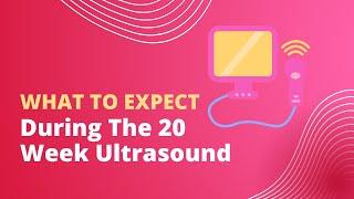 What To Expect During The 20 Week Anatomy Pregnancy Ultrasound