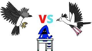 Which Raptor is Best Harpy Eagle vs Secretary Bird