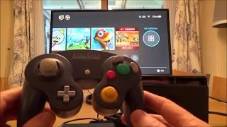 GameCube Controller on Nintendo Switch 21