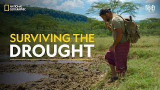 Surviving the Drought  Primal Survivor  हिन्दी  Full Episode  S7 - E1  National Geographic