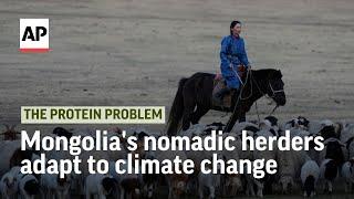 How Mongolias nomadic herders adapt to climate change  The Protein Problem