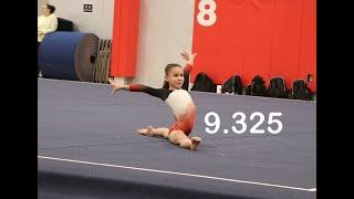Level 5 floor routine 1st place 8 years old 9.325