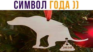 СИМВОЛ 2020 ГОДА Приколы  Мемозг #503