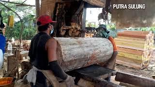 Spesial durasi kumpulan video kayu besar