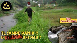 Nekat Mancing Ikan Lele Liar di Tempat Angker Sampe Panen Kalau Ujung-ujungnya Begini mah...