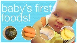 STARTING SOLIDS - Babys First Four Foods