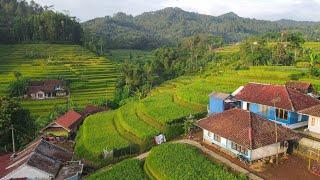 Hanya Ada Di JAWA BARAT Kampung Terindah Terbersih Seperti Lukisan. Pagi Hari Di Pedesaan Garut