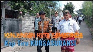 KOTA SAMARINDA‼️Kaji Tiru‼️LOMBOK TIMUR‼️KUR&ASURANSI SAPI