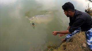 इस ट्रिक को आजमाएं  Fast Result for Carp Fish Hunting Carp  Fish Hunting  Fish Catching Videos