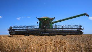 West Texas Wheat Harvest Begins