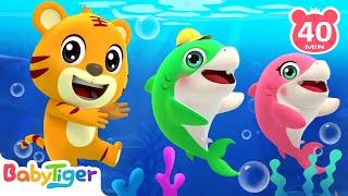 Baby Shark and More Nursery Rhymes  Animal Songs Compilation  BabyTiger Official