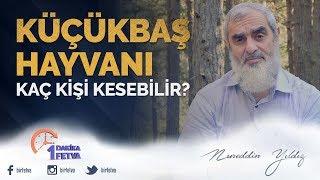 Küçükbaş hayvanı kaç kişi kesebilir?  Birfetva - Nureddin YILDIZ