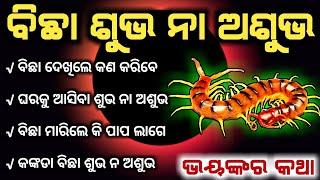 Bicha dekhile kan hua  ବିଛା ଦେଖିଲେ କଣ ହୁଏ  ଶୁଭ ନା ଅଶୁଭ  Centipede odia vastu  Ajira anuchinta 