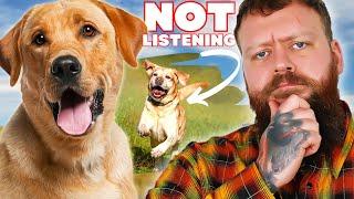 How To Train A Dog That Wont Listen To You