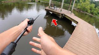 RAW & UNCUT Fishing in my Childhood Pond SURPRISE CATCH