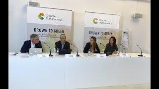 Climate Transparency Online Launch Brown to Green Report 2018