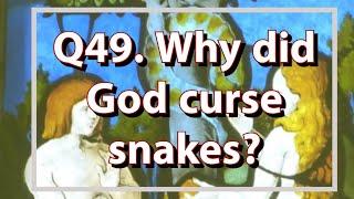 Q49. Why did God curse snakes? Re-uploaded