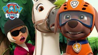 Pups save Winnie and her Pony from the jungle swamp - PAW Patrol Cartoons for Kids Compilation