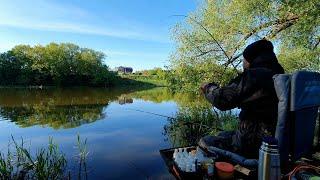 В поисках карася  Фидерная рыбалка на реке Красивая Меча