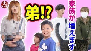 【ドッキリ】ガチでびっくりしました！そしてココロマン家に新しい家族が増えます！名前は・・・【ココロマンちゃんねる】