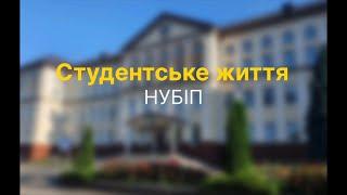 Студентське життя НУБІП 2024 #НУБіП #NULES