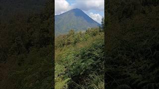 Mount Ijen Banyuwangi trekking alone part 9 view gunung Ranti  Rante #sunriseofjava #crater #trek