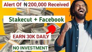 Earn 30000 Naira Daily using Facebook with this method  how to make money online in Nigeria
