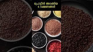 ശരീരത്തിൽ പ്രോട്ടീൻ ലഭിക്കുന്ന 6 ഭക്ഷണങ്ങൾ. Ethnic Health Court