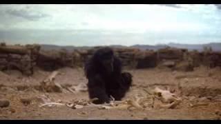 2001 A Space Odyssey - The Dawn of Man