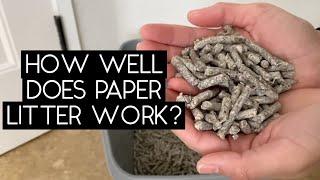 RECYCLED PAPER LITTER REVIEW  SVEN AND ROBBIE