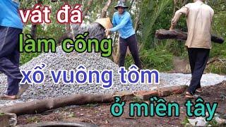 vát đá làm cống xổ vuông tôm ở miền tây cuộc sống người miền tây