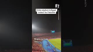 Al-Ahly Football Club fans based out of Cairo Egypt chant in solidarity with Palestine