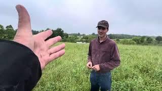 Joel explains what a good grazing pasture of diversity looks like in our bullsteer farm.