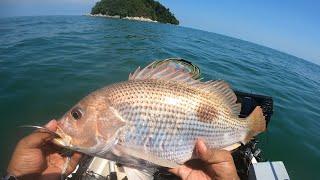 Kayak Fishing Malaysia  Kerapu Sombong Jenahak Ramah  Tong Penuh