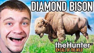 Hunting Down a RARE Diamond Bison