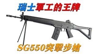 瑞士軍工的王牌——SG550突擊步槍