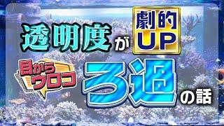 3種の “ろ過” で水の透明度もUP & 飼育もラクチン！《サンゴ水槽》【2024年6月号 vol.3】