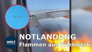 FEUER aus TRIEBWERK - Notlandung in Los Angeles