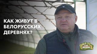 Заработал состояние на клюкве в Беларуси «Я из деревни». Фермерское хозяйство в д. Зеленый Бор