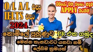 කැනඩාවේ පිරිසිදු කරන්නන්ගේ රැකියා 2024  Job Bank  Career Couch  NO IELTS NO EDUCATION