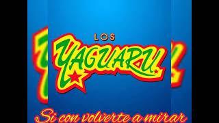 Los Yaguaru - Si con volverte a mirar