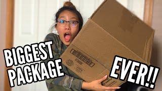 THE BIGGEST SQUISHY PACKAGE EVER Huge JennaLynSquishies Package