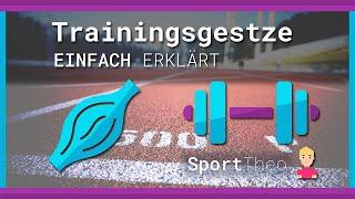 Trainingsgesetze einfach erklärt  Sporttheo.de