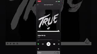 Avicii feat. Wake me up