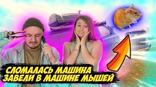 Путешествия на автомобиле в Северный Кавказ. Наше испытание #vanlife