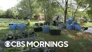 Michigan farm helps formerly incarcerated Americans grow vegetables and opportunity