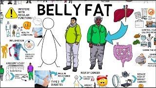 DANGERS OF BELLY FAT MUST WATCH - Animated