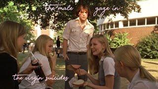 the male gaze™ in the virgin suicides