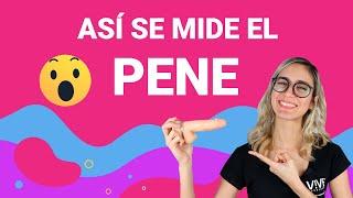 ¿Cómo medir BIEN el PENE?  3 PASOS para saber el tamaño REAL de tu pene