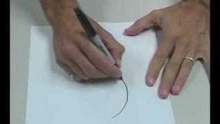 Draw Perfect Freehand Circles